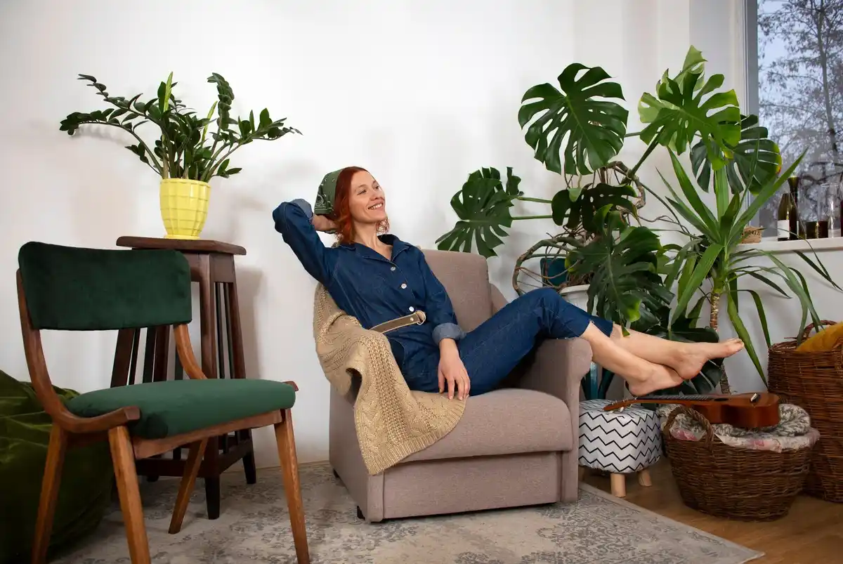 feng shui indoor plants forbidden places modern living room