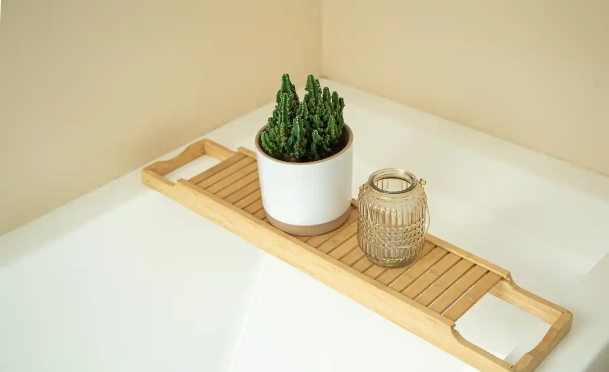 feng shui bad place for plants bedroom bathroom modern