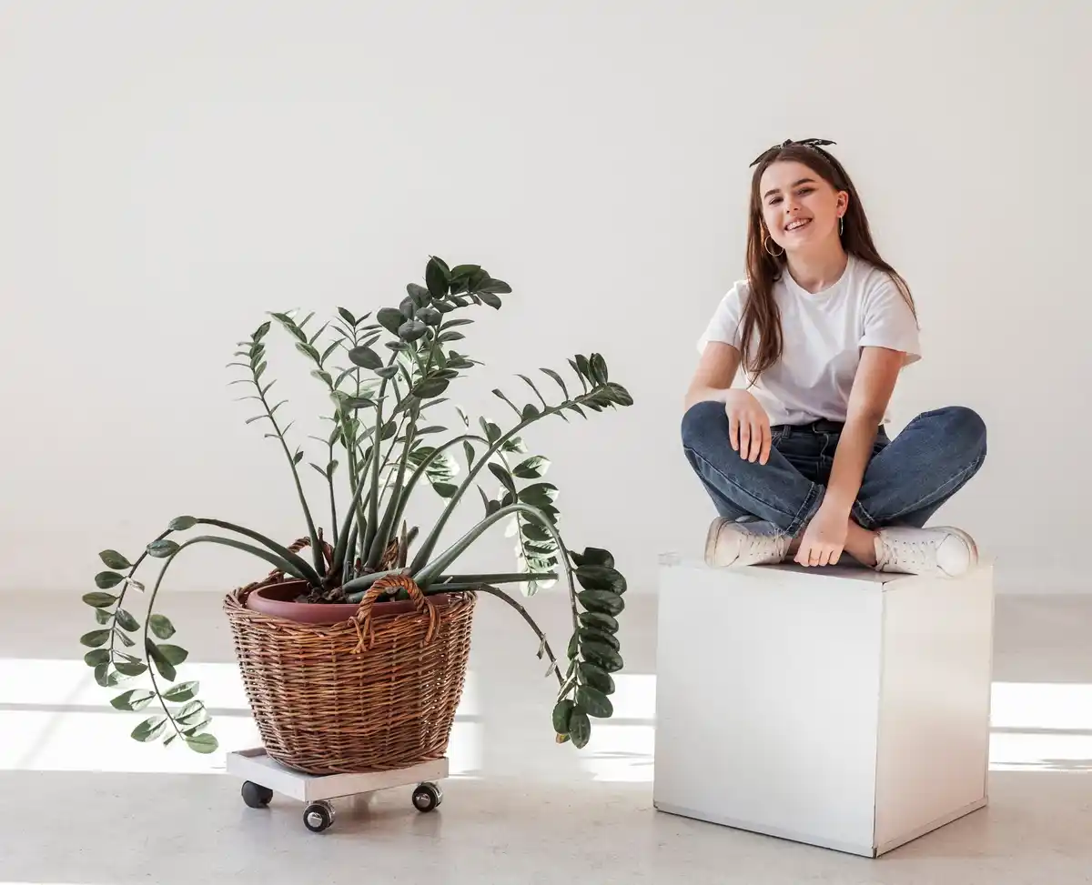indoor plants under artificial light, czech home