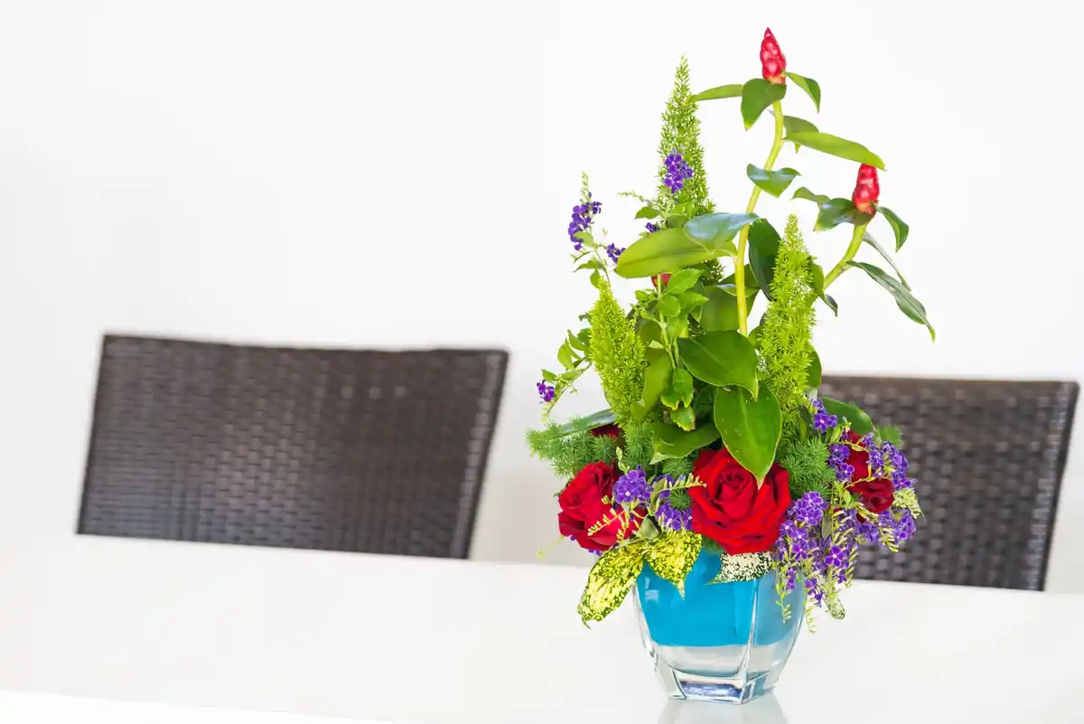 red and blue grow light indoor plants, modern apartment