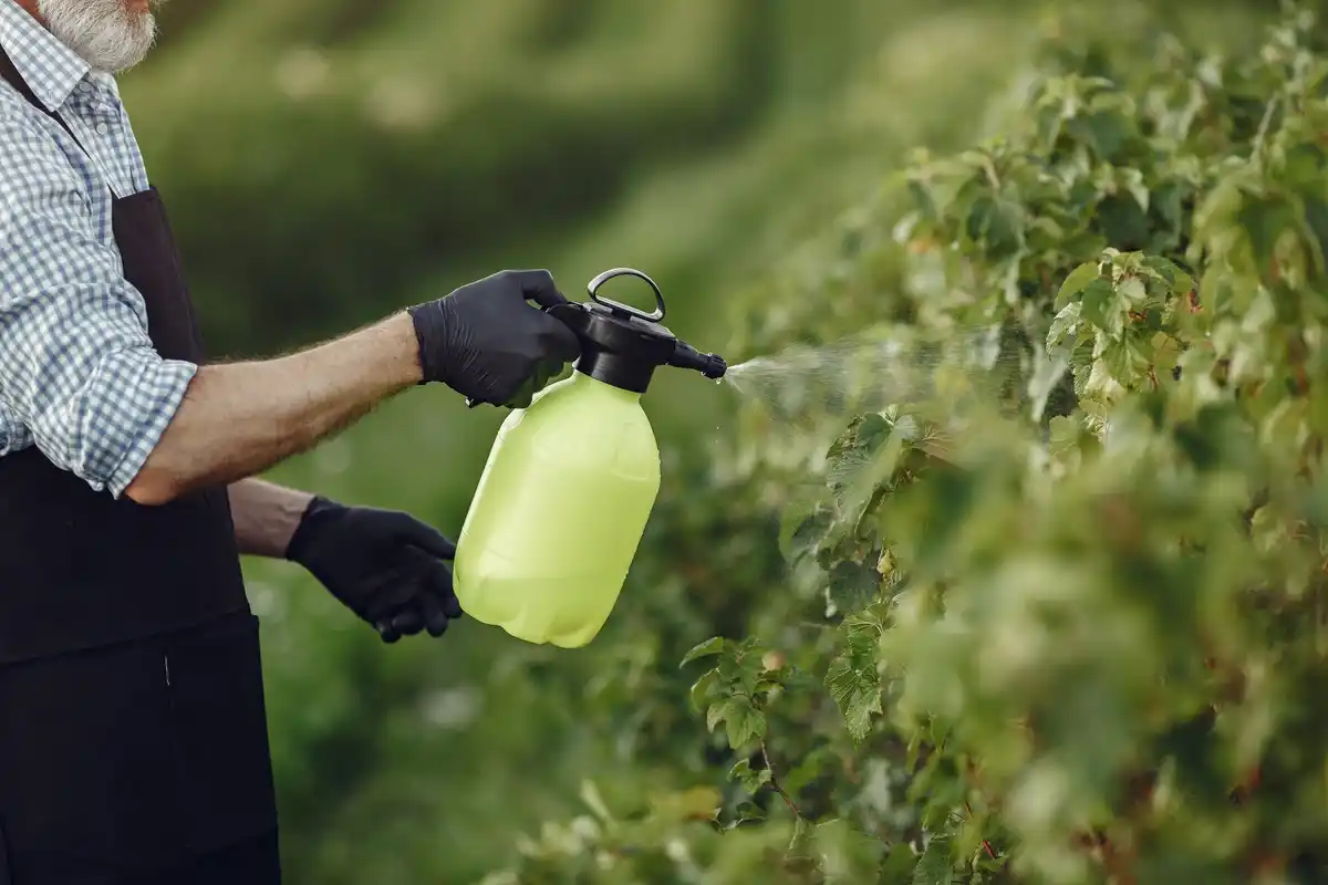 biological garden pest solutions Czech Republic