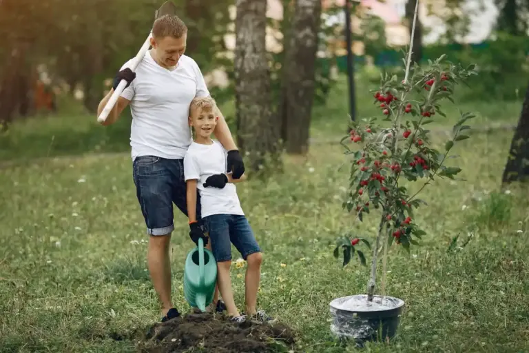 watering apple tree midday