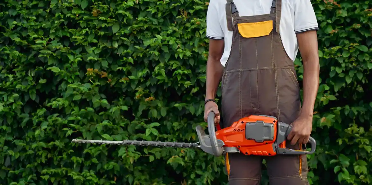 battery powered hedge trimmer czech backyard