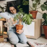early signs sick indoor plant home