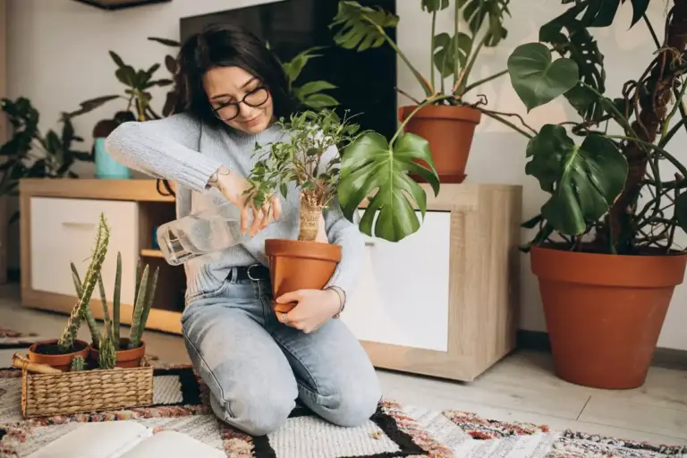 early signs sick indoor plant home