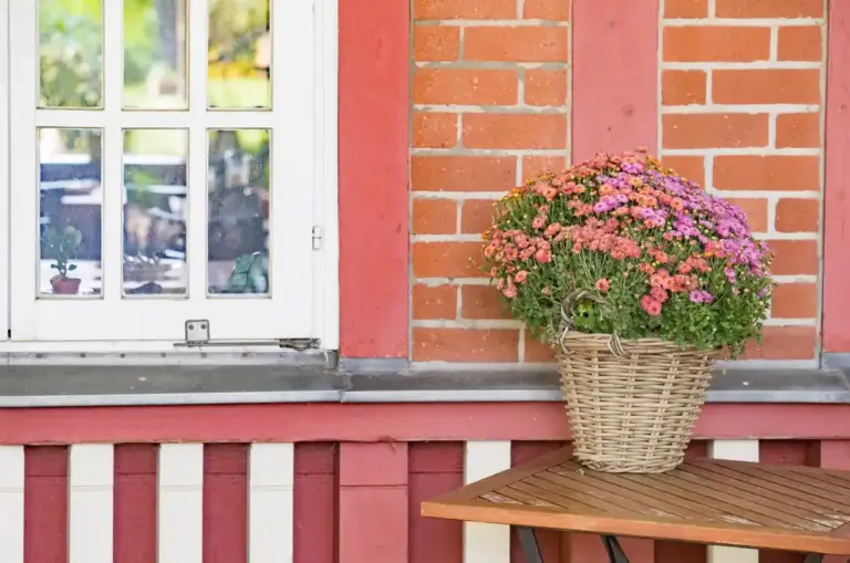 unique indoor plant pots stylish home Czech window
