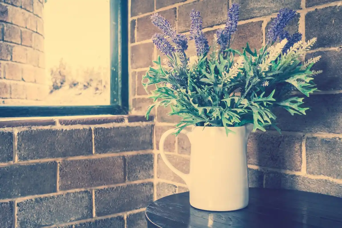 retro indoor plants in czech home cozy