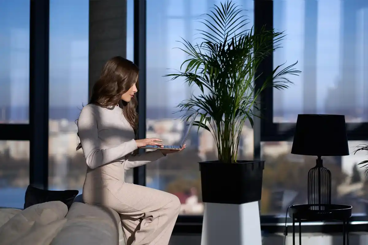 feng shui lucky plants indoor modern apartment window sunny