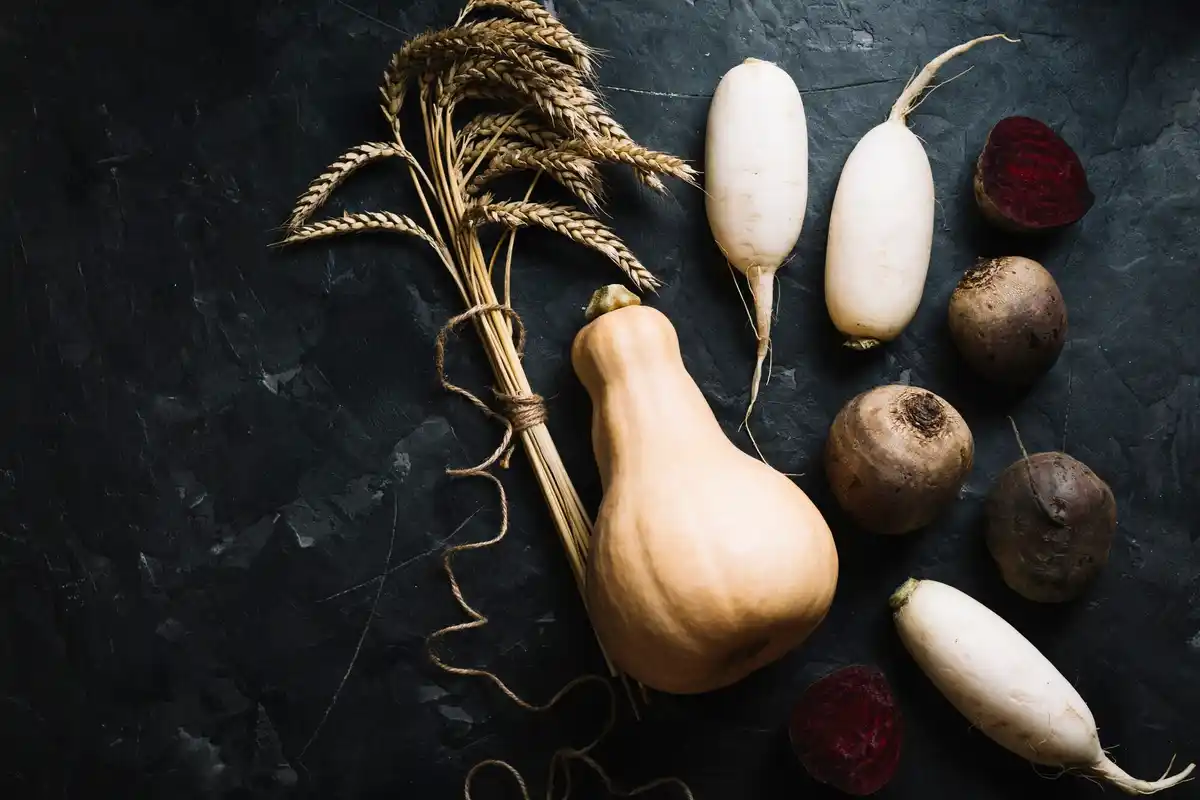 traditional czech vegetables seeds old varieties