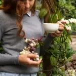 coffee grounds fertilizer for strawberries and raspberries czech garden