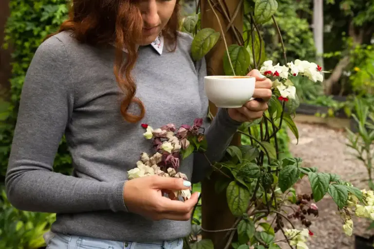 coffee grounds fertilizer for strawberries and raspberries czech garden