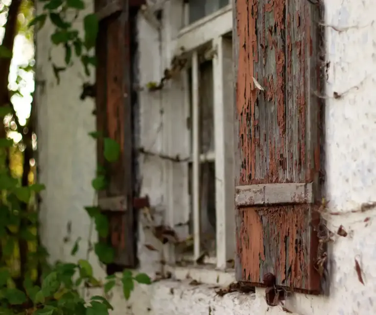 repurposed old window cold frame vegetable garden Czech spring