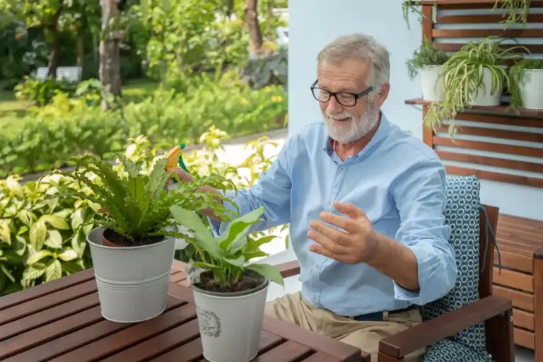 senior growing lemon tree at home Czech Republic