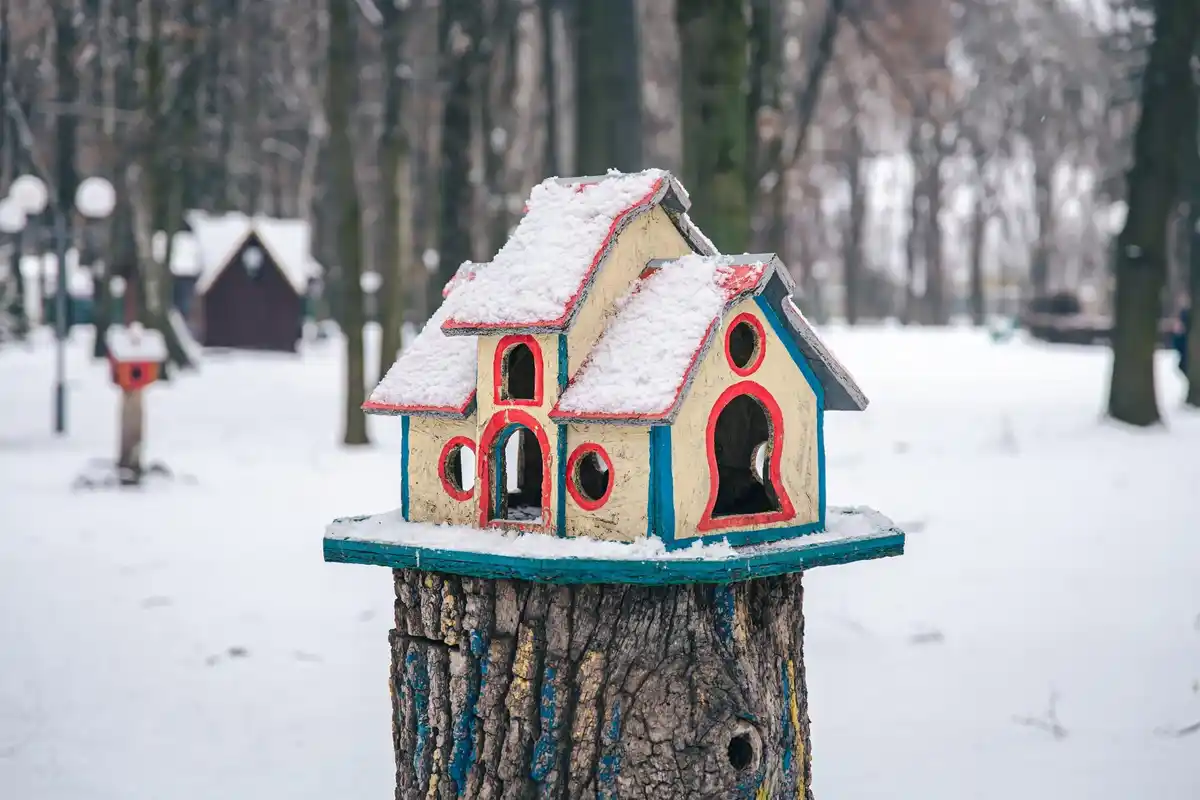 homemade tree frost protection Czech garden