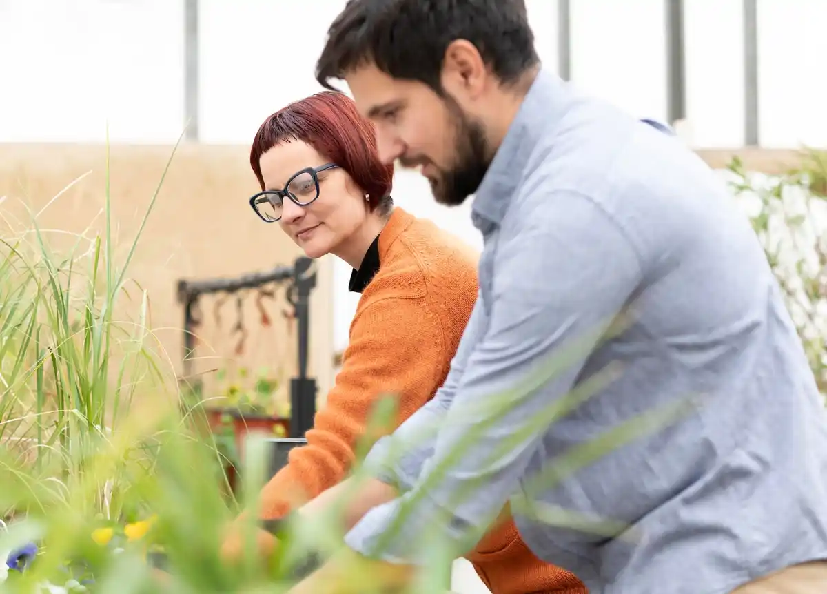 young czech people urban organic gardening