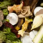 organic kitchen scraps for garden compost Czech home