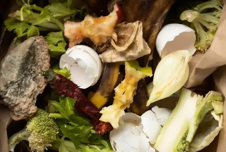 organic kitchen scraps for garden compost Czech home