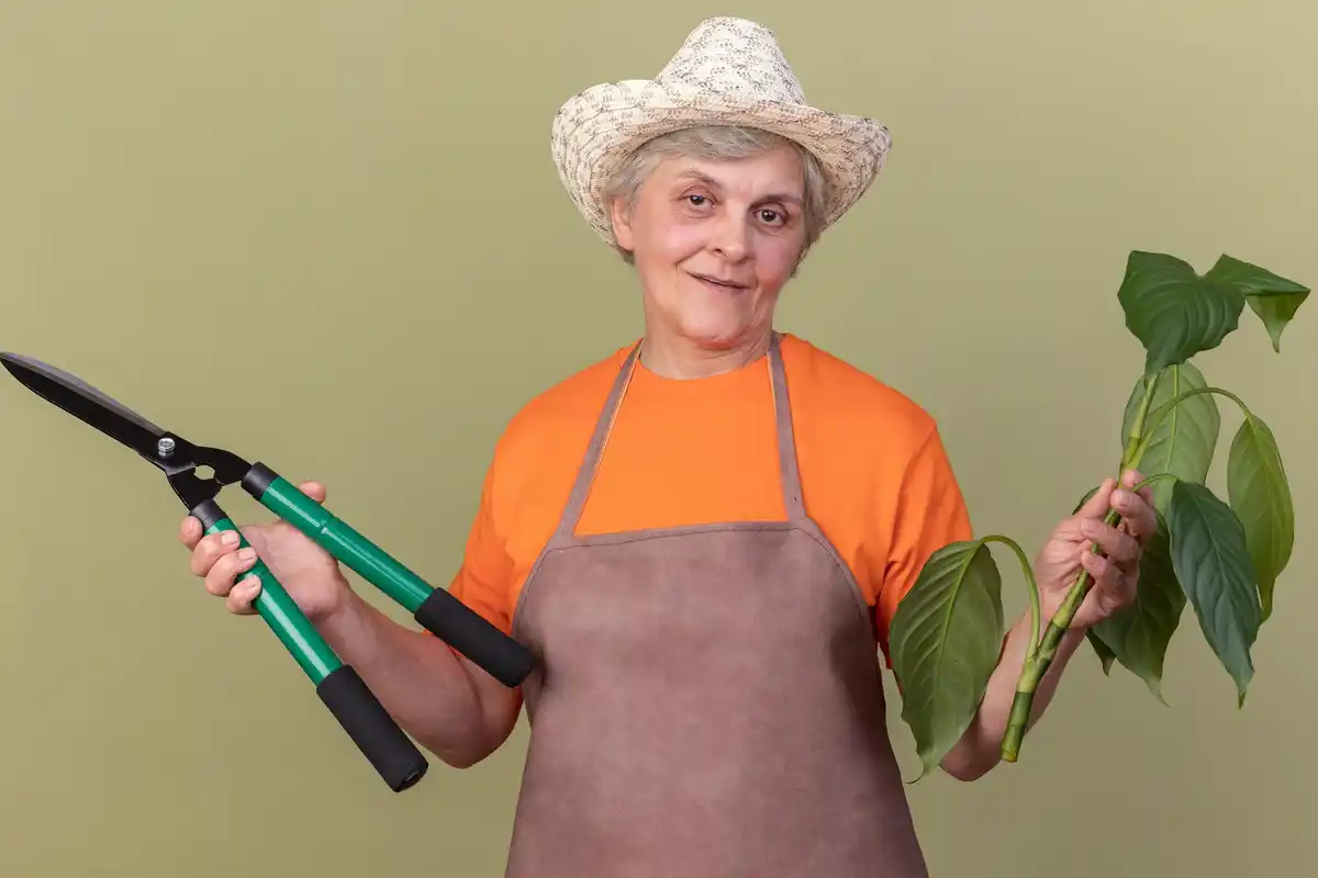 czech senior woman happy garden tool cordless pruning