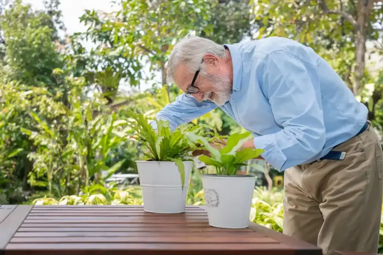elderly Czech man lemon indoor plant Prague balcony