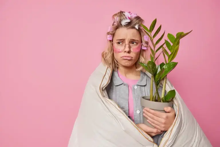 ficus plant bedroom allergy risk Czech household