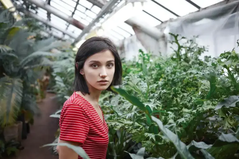 greenhouse ventilation error Czech mistake