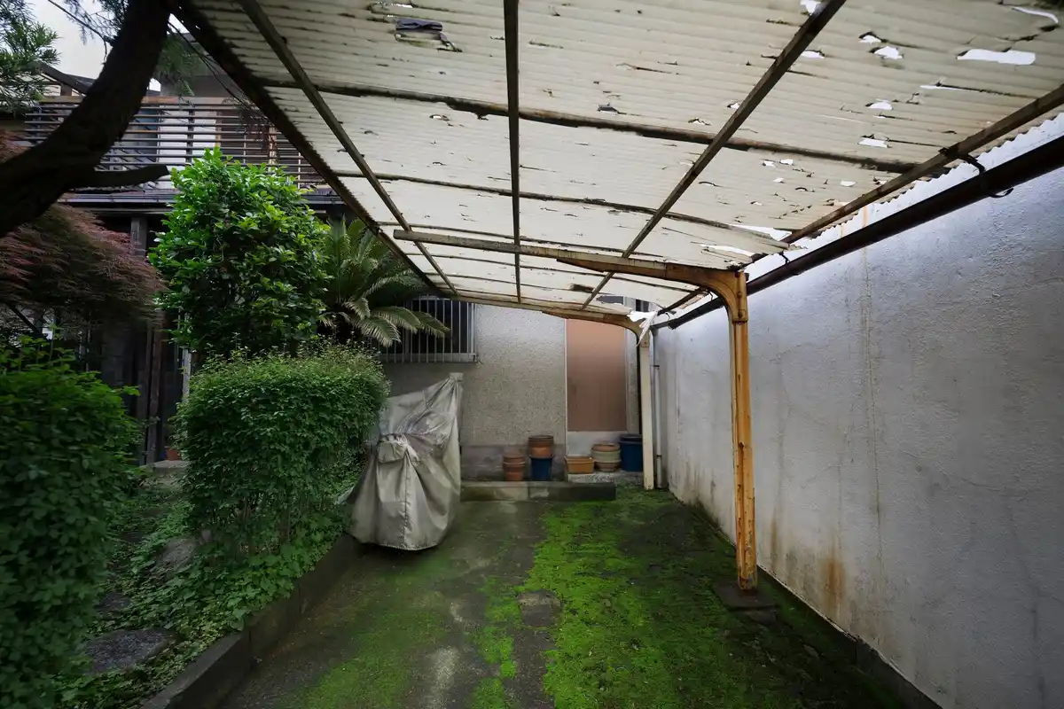 greenhouse ventilation mistake air draft plant damage