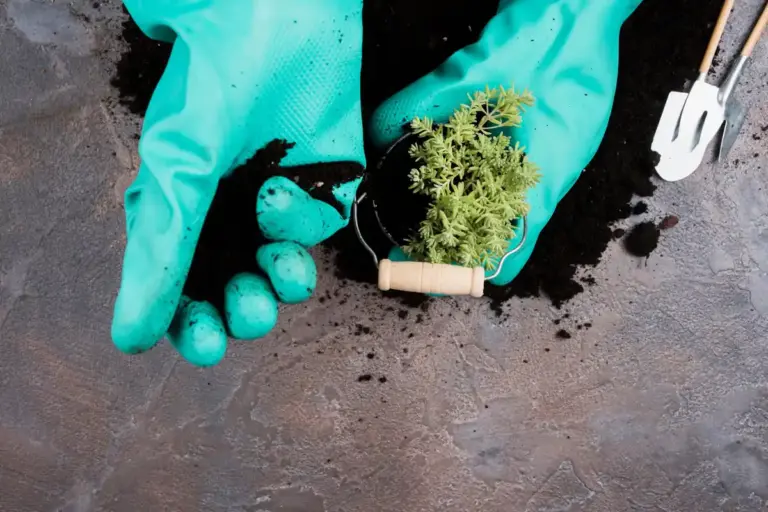 testing acidic garden soil Czech Republic