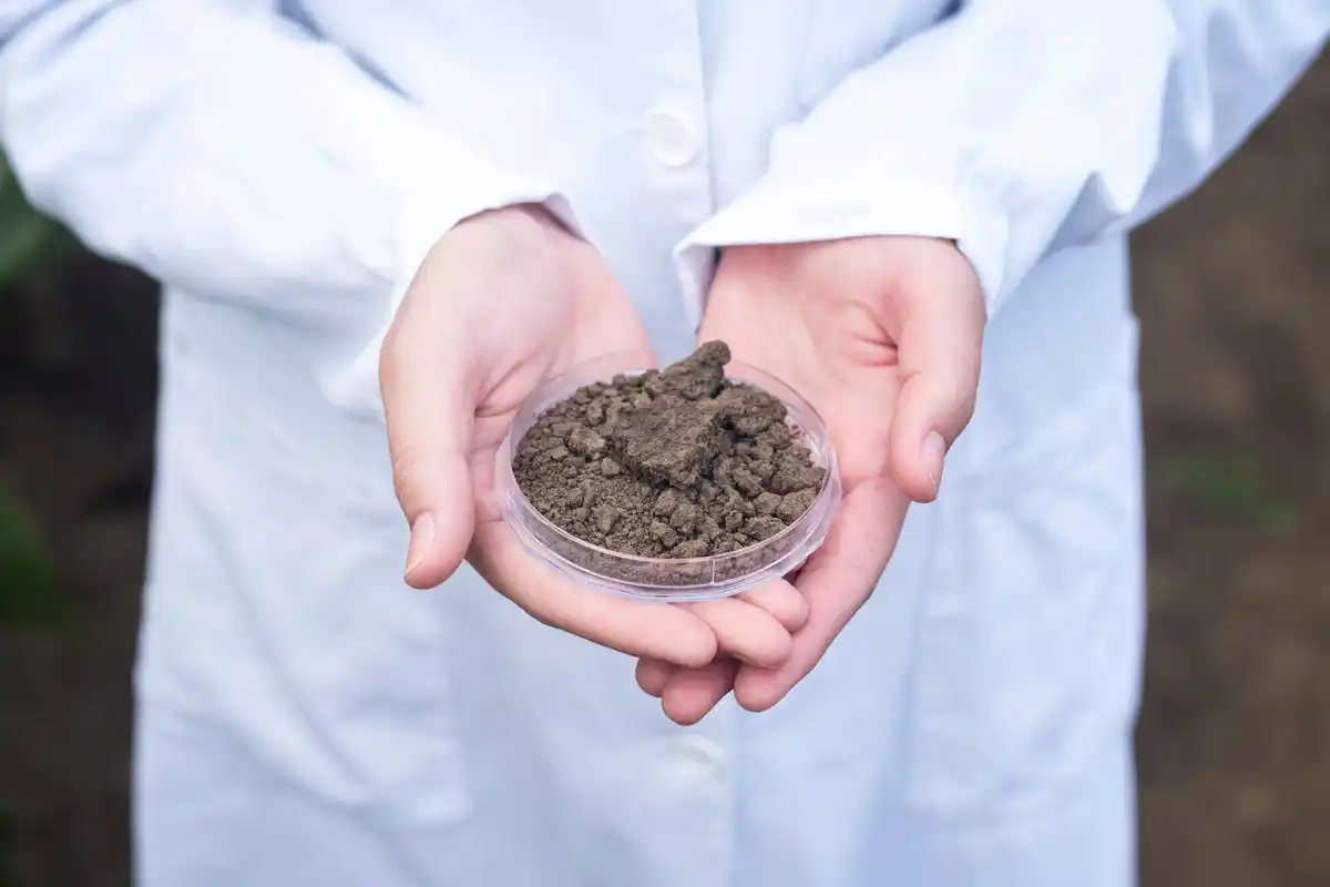 acidic soil test garden Czech