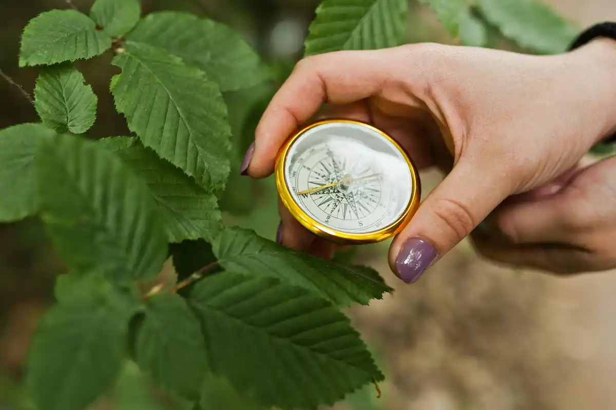 testing soil acidity Czech garden
