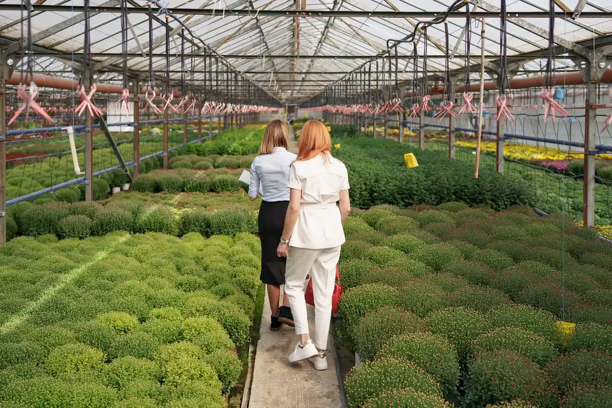 new greenhouse material czech