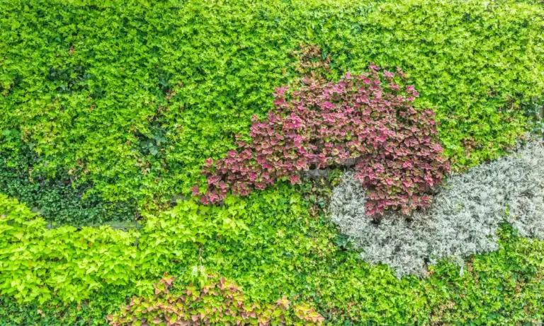 vertical garden balcony Czech apartment lush