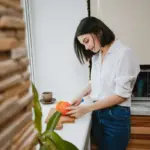 Potato peel fertilizer houseplants Czech kitchen