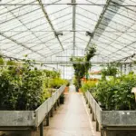 open greenhouse at night Czech garden
