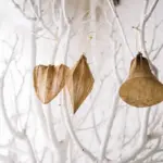 wilted houseplants dry radiator winter