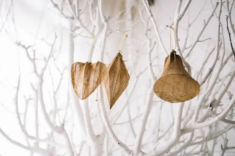 wilted houseplants dry radiator winter
