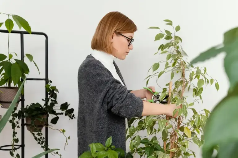 modern hanging plant system in Czech apartment
