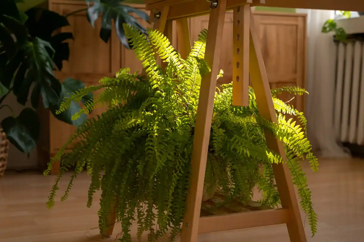 modern indoor hanging plant systems Czech