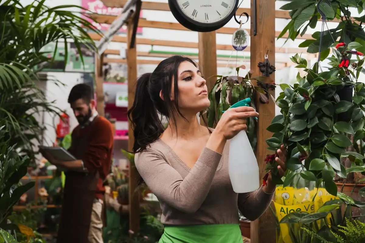 pet bottle greenhouse building czech republic