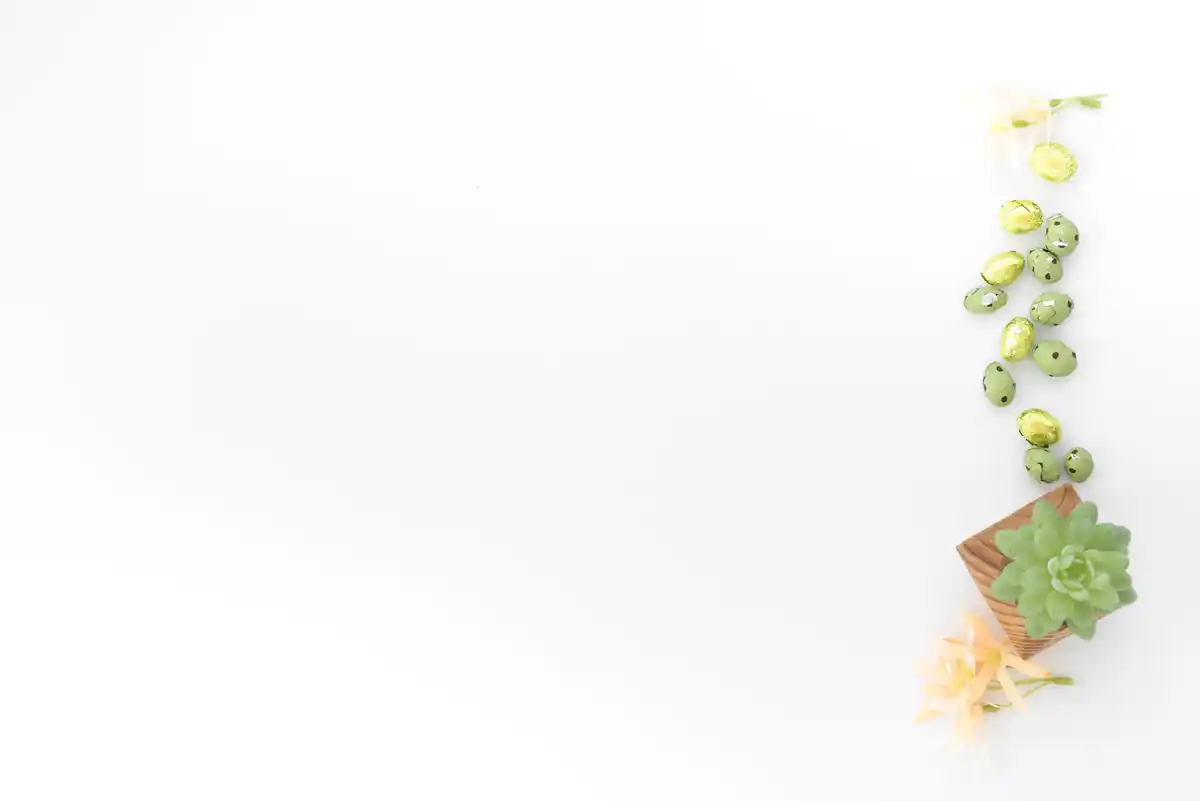 modern succulent arrangement flat lay Czech style