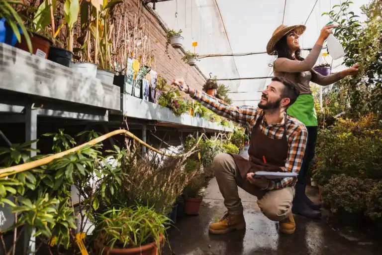 southwest oriented greenhouse czech backyard