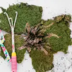 damaged cheap garden hand tools broken Czech