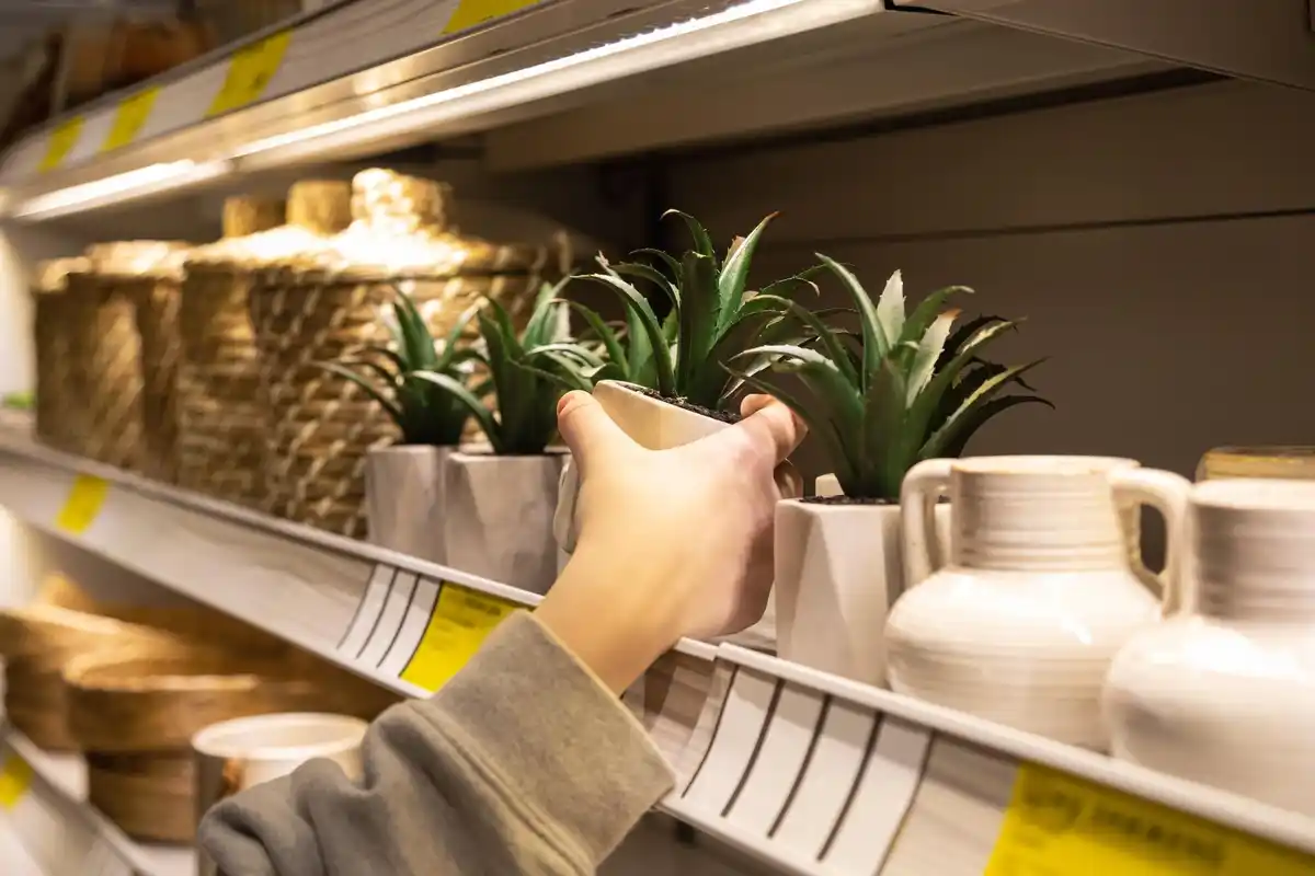cheap garden tools close up supermarket shelf Czech