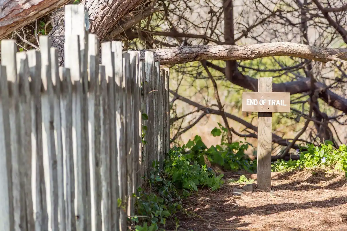 homemade wooden branch support for apple tree Czech garden