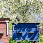 homemade compost bin in Czech garden