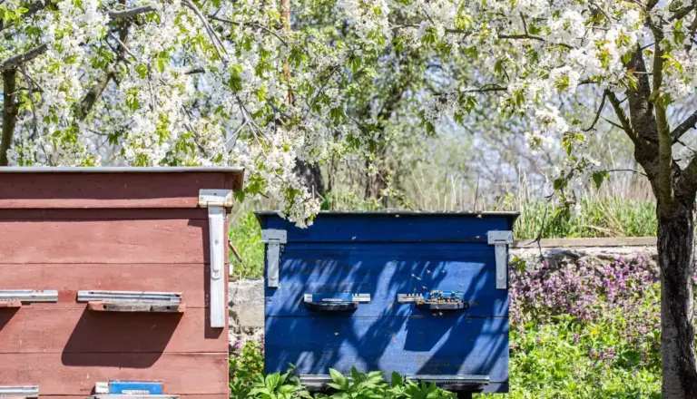 homemade compost bin in Czech garden