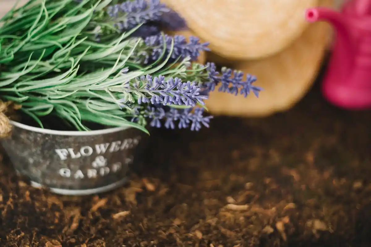 homemade compost close up garden spring table vegetables