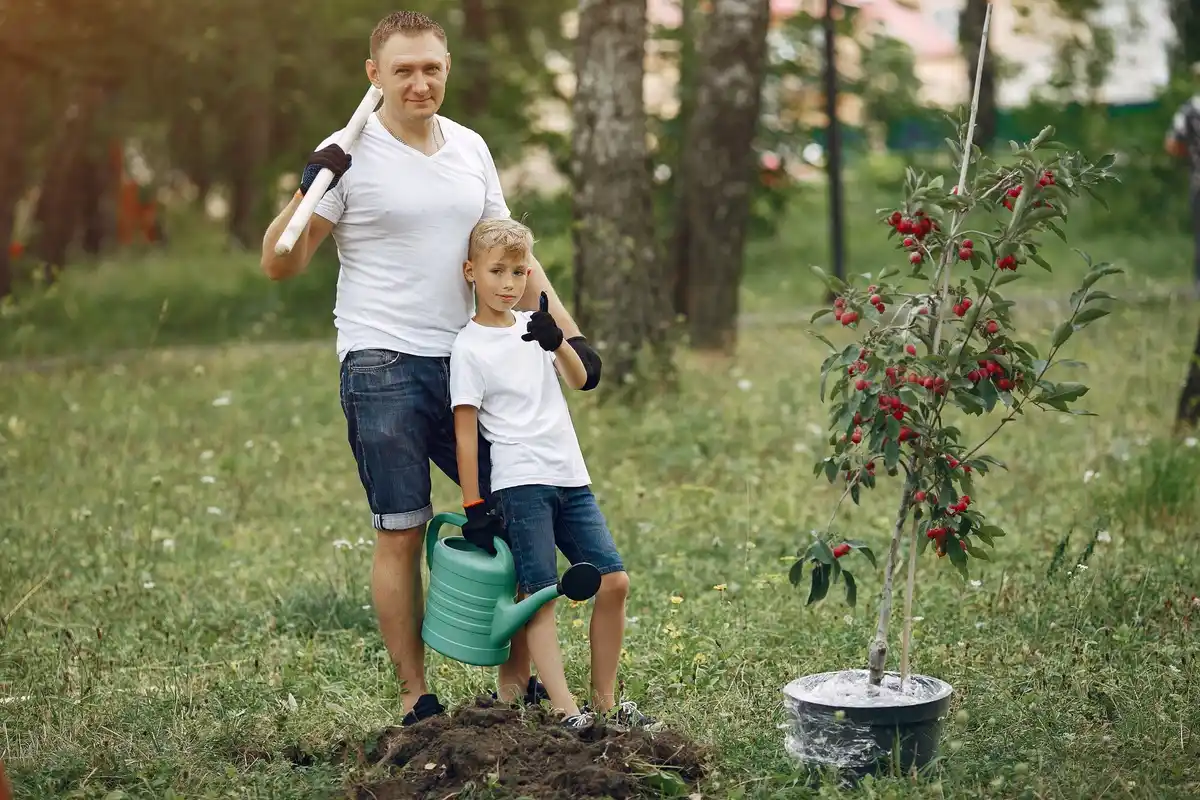 watering pears tree with bucket deep soil regional garden czech