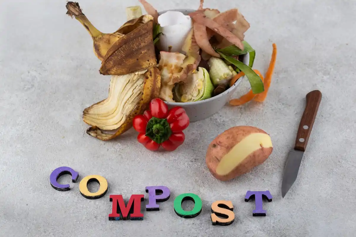 kitchen composting bin czech home garden