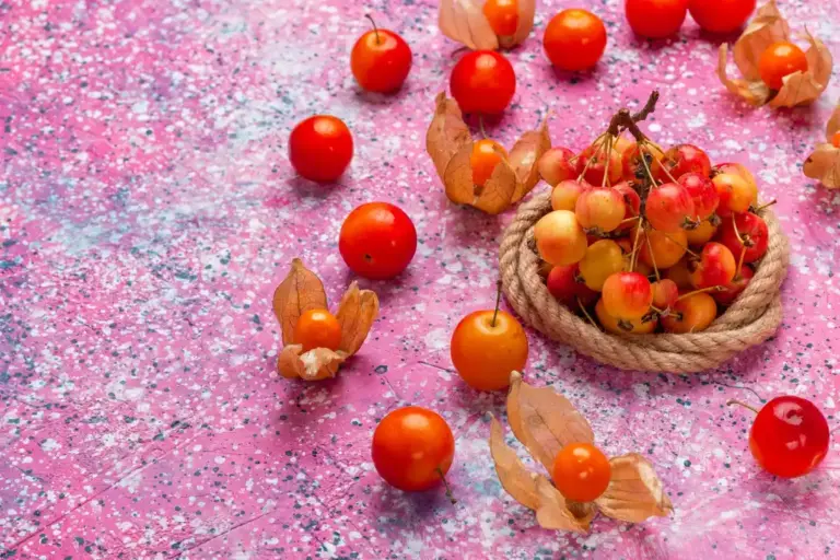 autumn tomatoes in Czech garden