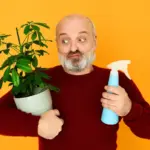 houseplant care overfertilization mistakes